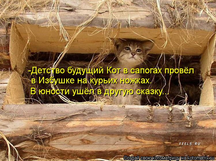 Котоматрица: -Детство будущий Кот в сапогах провёл  в Избушке на курьих ножках. В юности ушёл в другую сказку...