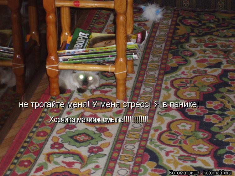 Котоматрица: не трогайте меня! У меня стресс! Я в панике! Хозяйка макияж смыла!!!!!!!!!!!!!