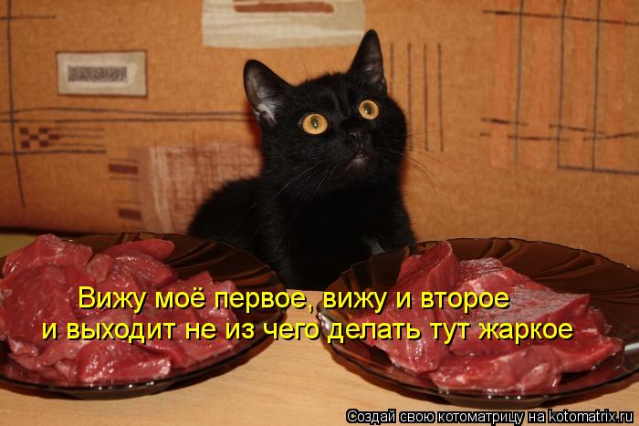 Котоматрица: Вижу моё первое, вижу и второе и выходит не из чего делать тут жаркое