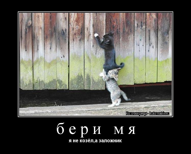 бери мя я не козёл,а заложник... Котоматрица: бери мя я не козёл,а заложник