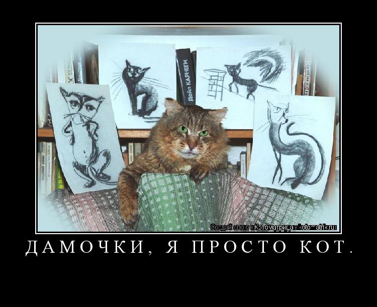ДАМОЧКИ, Я ПРОСТО КОТ. ... Котоматрица: ДАМОЧКИ, Я ПРОСТО КОТ.