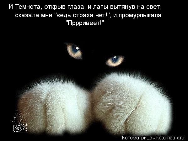 И Темнота, открыв глаза, и лапы вытянув на свет, И Темнота, открыв глаза, и лапы вытянув на свет, с... Котоматрица: И Темнота, открыв глаза, и лапы вытянув на свет, И Темнота, открыв глаза, и лапы вытянув на свет, сказала мне "ведь страха нет!", и промурлыкал