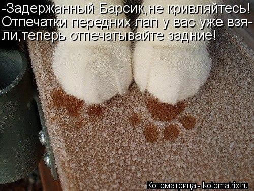 Котоматрица: -Задержанный Барсик,не кривляйтесь! Отпечатки передних лап у вас уже взя- ли,теперь отпечатывайте задние!