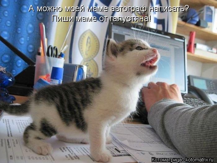 А можно моей маме автограф написать? Пиши маме от галустяна!... Котоматрица: А можно моей маме автограф написать? Пиши маме от галустяна!