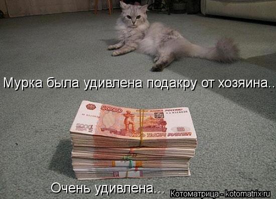 Мурка была удивлена подакру от хозяина.. Очень удивлена...... Котоматрица: Мурка была удивлена подакру от хозяина.. Очень удивлена...