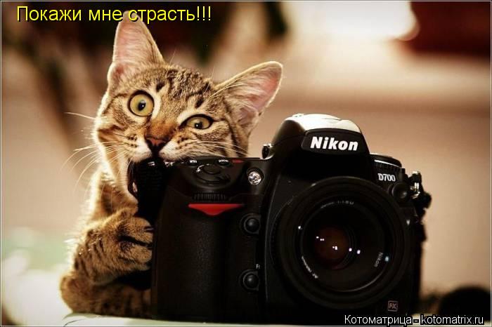Котоматрица: Покажи мне страсть!!!