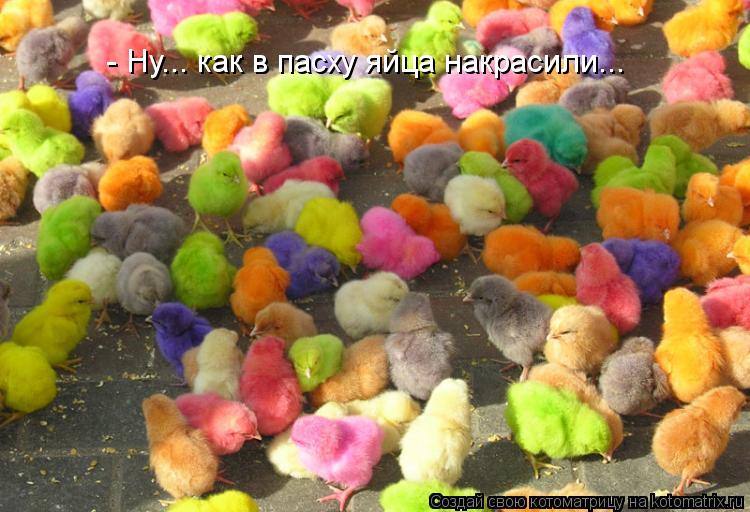 Котоматрица: - Ну... как в пасху яйца накрасили...