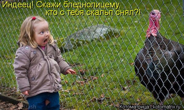 Котоматрица: Индеец! Скажи бледнолицему,  кто с тебя скальп снял?!