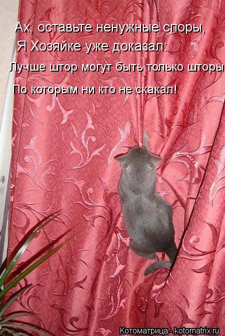 Котоматрица: Ах, оставьте ненужные споры, Я Хозяйке уже доказал: Лучше штор могут быть только шторы, По которым ни кто не скакал!