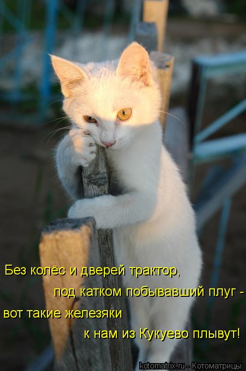 Без колёс и дверей трактор, под катком побывавший плуг - вот такие железяки к нам из Кукуево плыву... Котоматрица: Без колёс и дверей трактор, под катком побывавший плуг - вот такие железяки к нам из Кукуево плывут! к нам из Кукуево плывут!