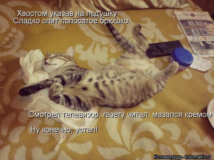 Котоматрица: Хвостом указав на подушку Сладко спит полосатое брюшко. Смотрел телевизор, газету читал, мазался кремом Ну конечно, устал!