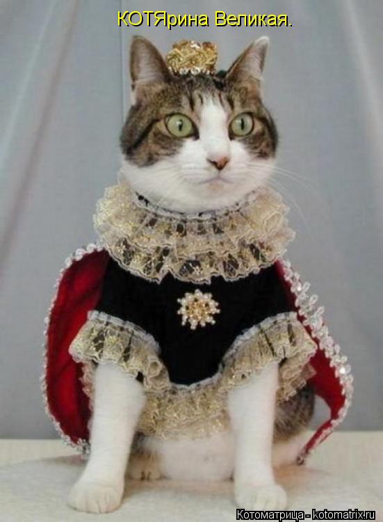 КОТЯрина Великая.... Котоматрица: КОТЯрина Великая.
