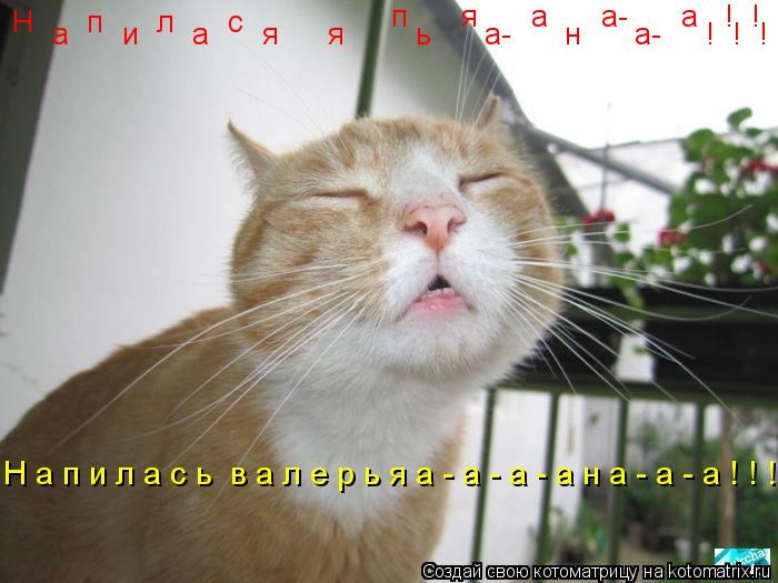 Н п л с а и а я п я а а- а ! ! я ь а... Котоматрица: Н п л с а и а я п я а а- а ! ! я ь а- н а- ! ! ! Н а п и л а с ь в а л е р ь я а - а - а - а н а - а - а ! ! !