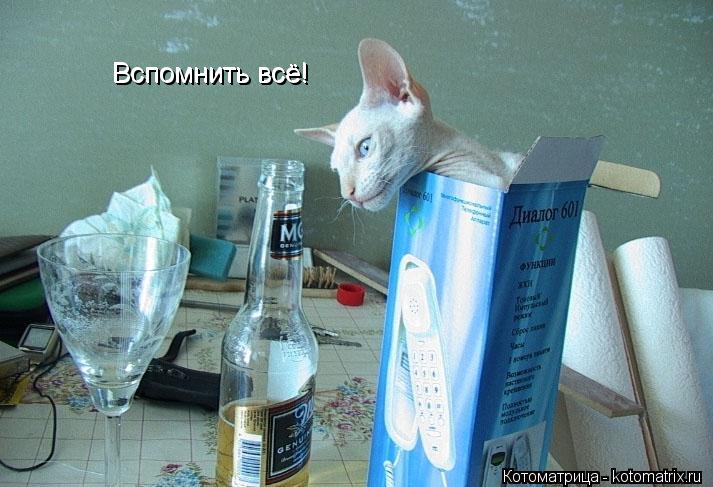 Котоматрица: Вспомнить всё! Вспомнить всё!
