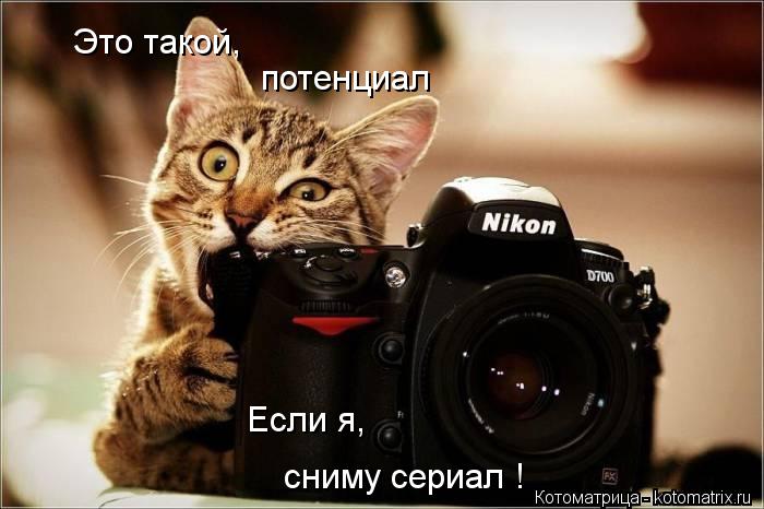 Котоматрица: Это такой, потенциал Если я, сниму сериал !