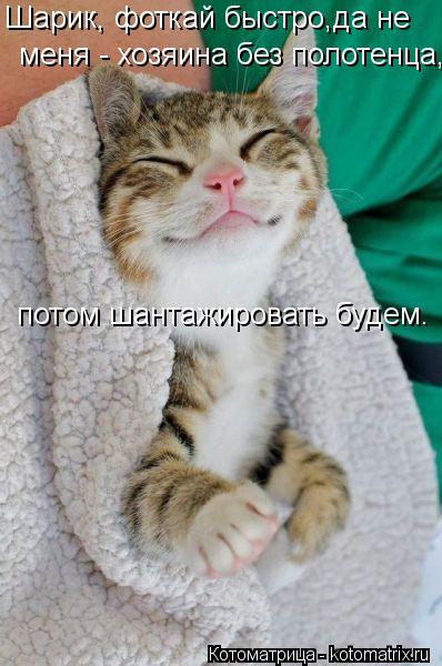 http://kotomatrix.ru/images/lolz/2013/04/18/kotomatritsa_bA.jpg