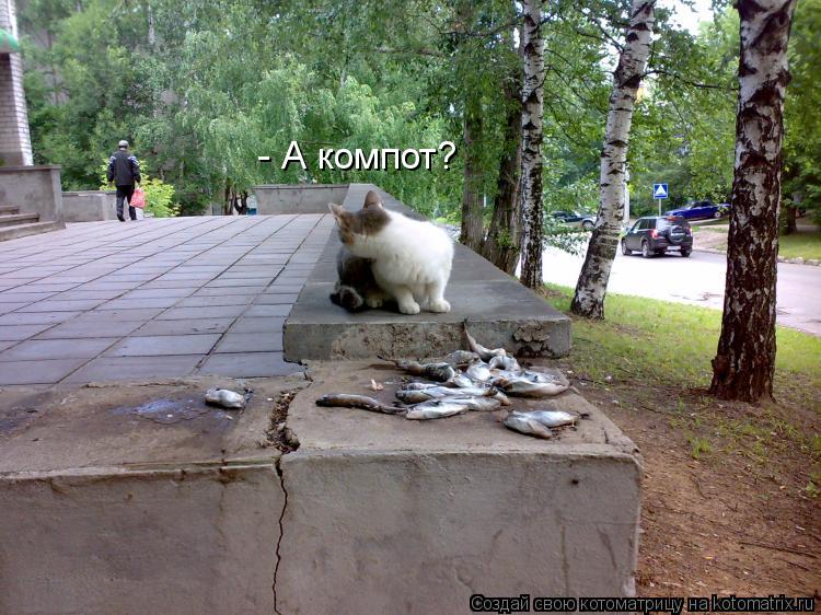 Котоматрица: - А компот?