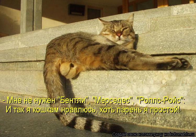 Котоматрица: - Мне не нужен "Бентли", "Мерседес", "Роллс-Ройс": И так я кошкам нравлюсь, хоть парень я простой!