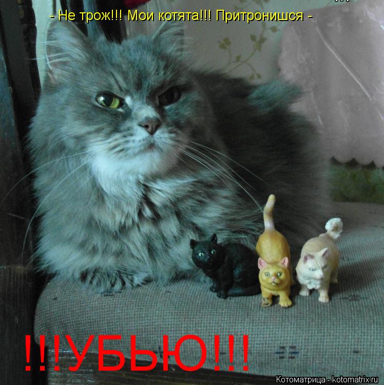 - Не трож!!! Мои котята!!! Притронишся - !!!УБЬЮ!!!... Котоматрица: - Не трож!!! Мои котята!!! Притронишся - !!!УБЬЮ!!!