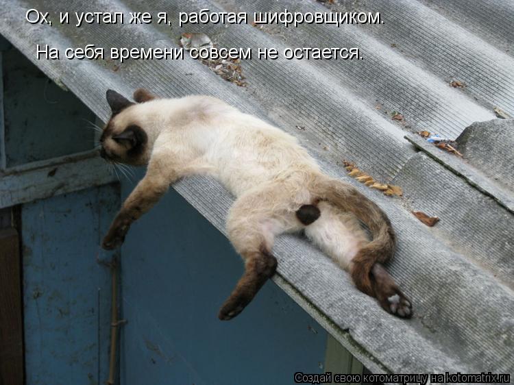 Ох, и устал же я, работая шифровщиком. На себя времени совсем не остается.... Котоматрица: Ох, и устал же я, работая шифровщиком. На себя времени совсем не остается.