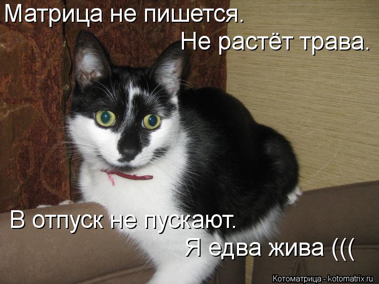 Частное Видео Секса В Отпуске