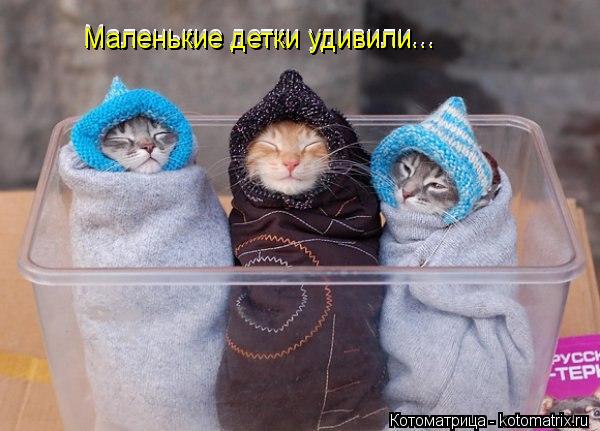 Котоматрица: Маленькие детки удивили... Маленькие детки удивили... Маленькие детки удивили... Маленькие детки удивили...