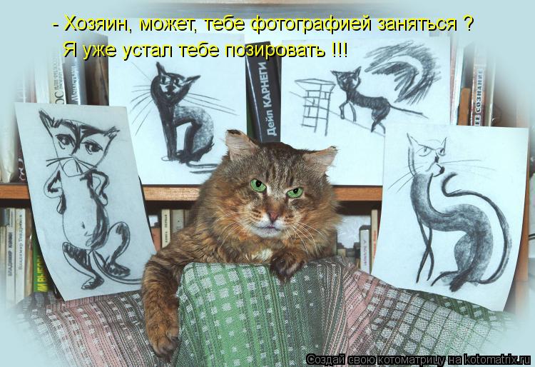 Котоматрица: - Хозяин, может, тебе фотографией заняться ? Я уже устал тебе позировать !!!