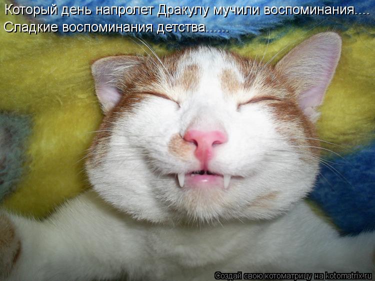 Который день напролет Дракулу мучили воспоминания.... Сладкие воспоминания детства......... Котоматрица: Который день напролет Дракулу мучили воспоминания.... Сладкие воспоминания детства......