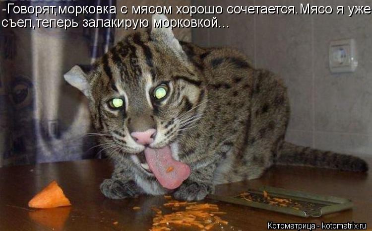 -Говорят,морковка с мясом хорошо сочетается.Мясо я уже съел,теперь залакирую морковкой...... Котоматрица: -Говорят,морковка с мясом хорошо сочетается.Мясо я уже съел,теперь залакирую морковкой...