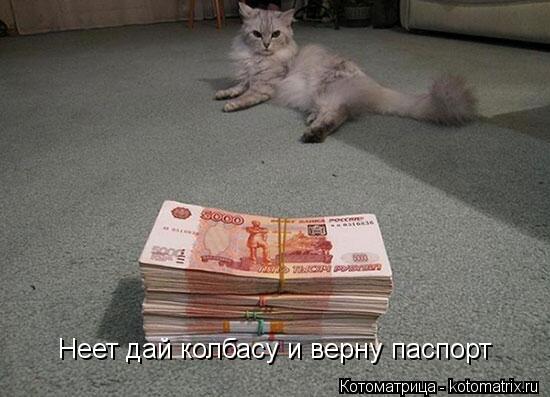 Неет дай колбасу и верну паспорт... Котоматрица: Неет дай колбасу и верну паспорт