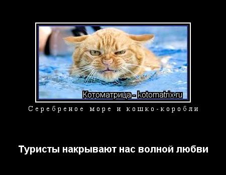 Серебреное море и кошко-коробли Туристы накрывают нас волной любви... Котоматрица: Серебреное море и кошко-коробли Туристы накрывают нас волной любви