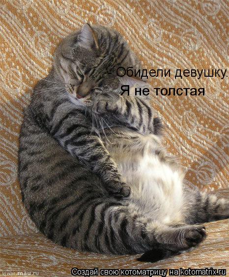 - Обидели девушку. Я не толстая... Котоматрица: - Обидели девушку. Я не толстая