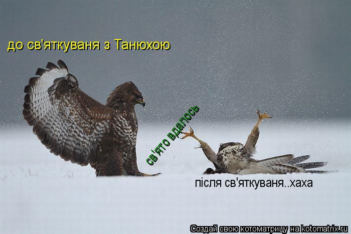 Котоматрица: до св'яткуваня з Танюхою після св'яткуваня..хаха св'ято вдалось