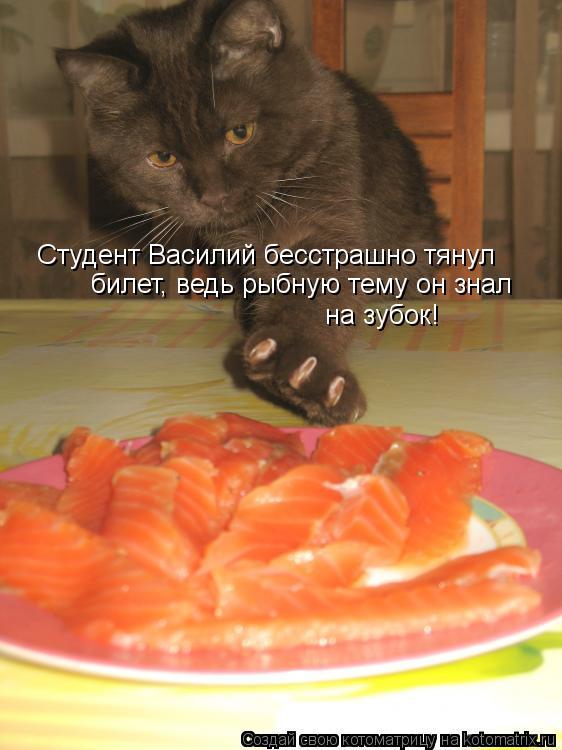 Котоматрица: Студент Василий бесстрашно тянул билет, ведь рыбную тему он знал на зубок!