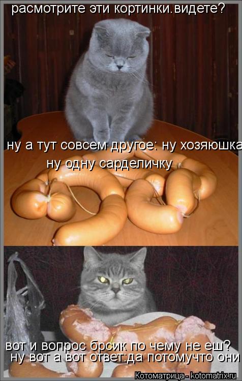 расмотрите эти кортинки.видете? вот и вопрос брсик по чему не еш? ну а тут совсем другое: ну хозяюшка... Котоматрица: расмотрите эти кортинки.видете? вот и вопрос брсик по чему не еш? ну а тут совсем другое: ну хозяюшка ну одну сарделичку ну одну сарделичку