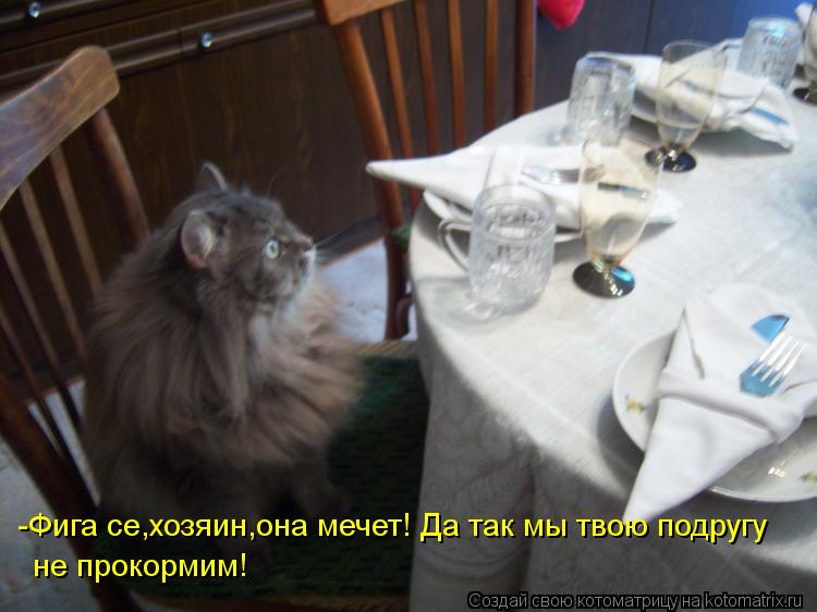 -Фига се,хозяин,она мечет! Да так мы твою подругу не прокормим!... Котоматрица: -Фига се,хозяин,она мечет! Да так мы твою подругу не прокормим!