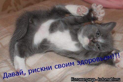 Давай, рискни своим здоровьем!!!... Котоматрица: Давай, рискни своим здоровьем!!!