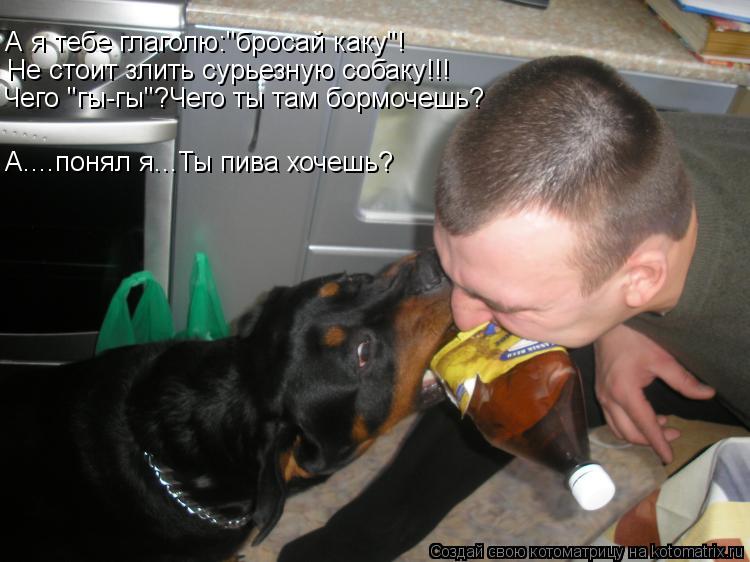 А я тебе глаголю:"бросай каку"! Не стоит злить сурьезную собаку!!! Чего "гы-гы"?Чего ты там бормочешь... Котоматрица: А я тебе глаголю:"бросай каку"! Не стоит злить сурьезную собаку!!! Чего "гы-гы"?Чего ты там бормочешь? А....понял я...Ты пива хочешь?
