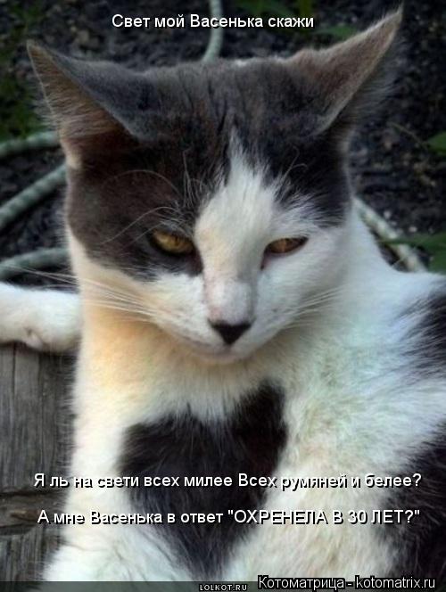 Свет мой Васенька скажи Я ль на свети всех милее Всех румяней и белее? А мне Васенька в ответ "ОХРЕНЕ... Котоматрица: Свет мой Васенька скажи Я ль на свети всех милее Всех румяней и белее? А мне Васенька в ответ "ОХРЕНЕЛА В 30 ЛЕТ?"