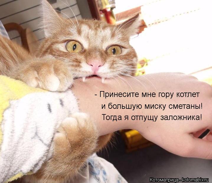 - Принесите мне гору котлет и большую миску сметаны! Тогда я отпущу заложника!... Котоматрица: - Принесите мне гору котлет и большую миску сметаны! Тогда я отпущу заложника!
