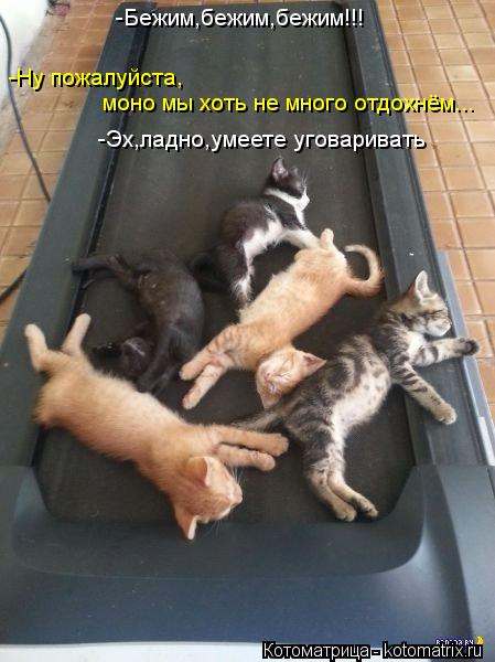 -Бежим,бежим,бежим!!! Ну пожалуйста моно мы хоть не много отдохнём... -Ну пожалуйста, моно мы хоть не... Котоматрица: -Бежим,бежим,бежим!!! Ну пожалуйста моно мы хоть не много отдохнём... -Ну пожалуйста, моно мы хоть не много отдохнём... -Эх,ладно,умеете уговарив