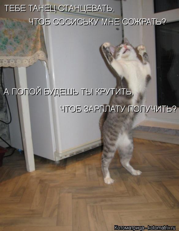 ТЕБЕ ТАНЕЦ СТАНЦЕВАТЬ, ЧТОБ СОСИСЬКУ МНЕ СОЖРАТЬ? А ПОПОЙ БУДЕШЬ ТЫ КРУТИТЬ, ЧТОБ ЗАРПЛАТУ ПОЛУЧИТЬ?... Котоматрица: ТЕБЕ ТАНЕЦ СТАНЦЕВАТЬ, ЧТОБ СОСИСЬКУ МНЕ СОЖРАТЬ? А ПОПОЙ БУДЕШЬ ТЫ КРУТИТЬ, ЧТОБ ЗАРПЛАТУ ПОЛУЧИТЬ?