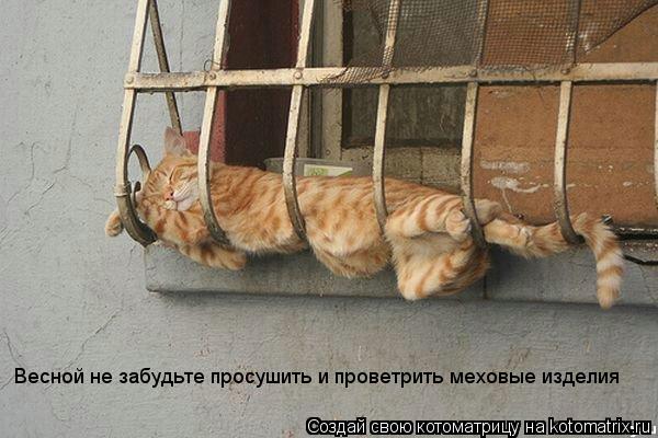 Весной не забудьте просушить и проветрить меховые изделия... Котоматрица: Весной не забудьте просушить и проветрить меховые изделия