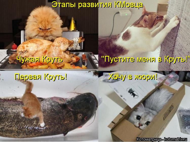 Котоматрица: Чужая Круть                 "Пустите меня в Круть!" Первая Круть!                  Хочу в жюри! Этапы развития КМовца