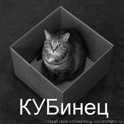 КУБинец... Котоматрица: КУБинец