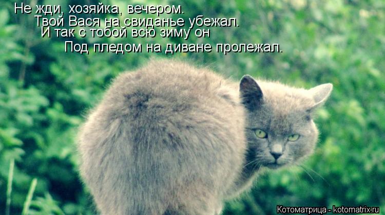 Не жди, хозяйка, вечером. Твой Вася на свиданье убежал. И так с тобой всю зиму он Под пледом на диван... Котоматрица: Не жди, хозяйка, вечером. Твой Вася на свиданье убежал. И так с тобой всю зиму он Под пледом на диване пролежал.