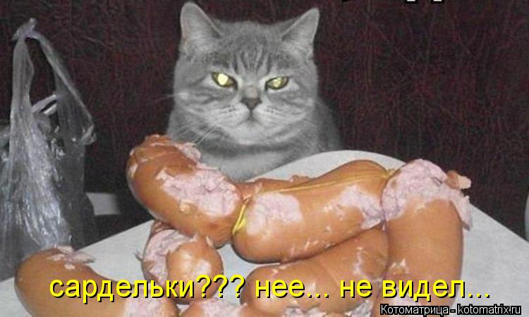 сардельки??? нее... не видел...... Котоматрица: сардельки??? нее... не видел...