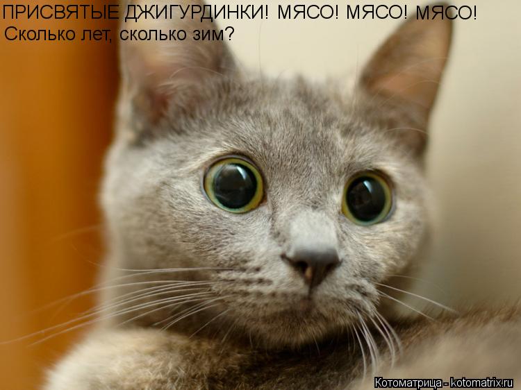 ПРИСВЯТЫЕ ДЖИГУРДИНКИ! МЯСО! МЯСО! МЯСО! Сколько лет, сколько зим?... Котоматрица: ПРИСВЯТЫЕ ДЖИГУРДИНКИ! МЯСО! МЯСО! МЯСО! Сколько лет, сколько зим?