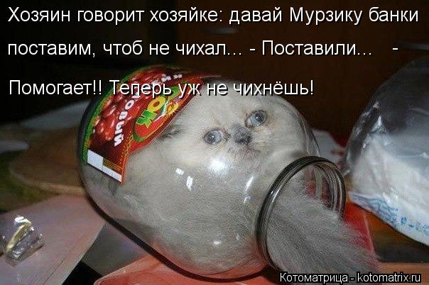 Xозяин говорит xозяйке: давай Мурзику банки поставим, чтоб не чиxал... - Поставили... - Помогает!! Т... Котоматрица: Xозяин говорит xозяйке: давай Мурзику банки поставим, чтоб не чиxал... - Поставили... - Помогает!! Теперь уж не чиxнёшь!
