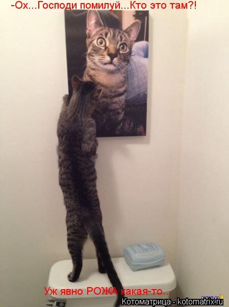 -Ох...Господи помилуй...Кто это там?! Уж явно РОЖА какая-то...... Котоматрица: -Ох...Господи помилуй...Кто это там?! Уж явно РОЖА какая-то...
